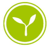 Energy Icon